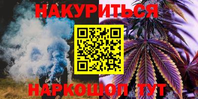 гидра Будённовск