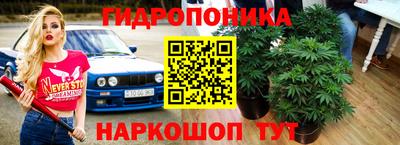 гидропоника Бугуруслан