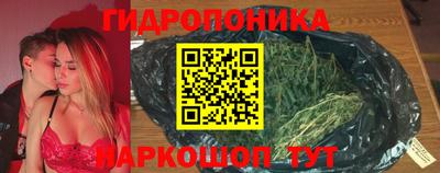 гидра Будённовск