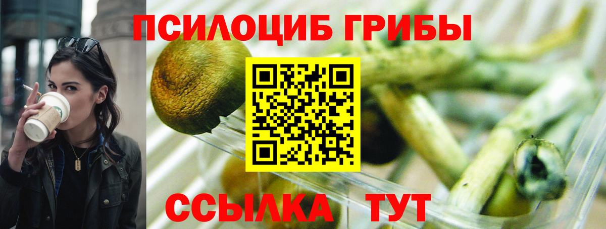 Псилоцибиновые грибы мицелий  Галлюциногенные грибы Cubensis  где купить наркоту  Вход с VPN  Заринск 