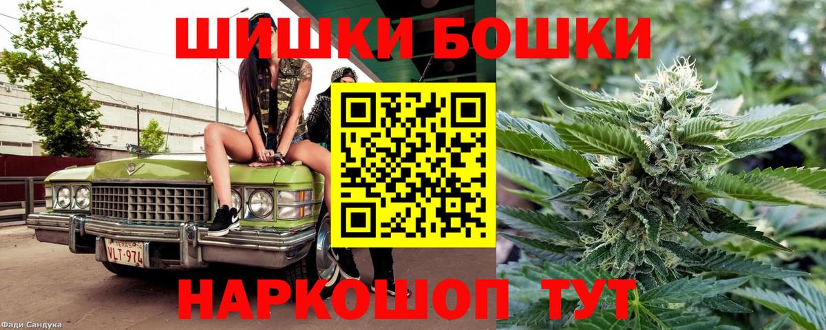 Марихуана сатива Заринск